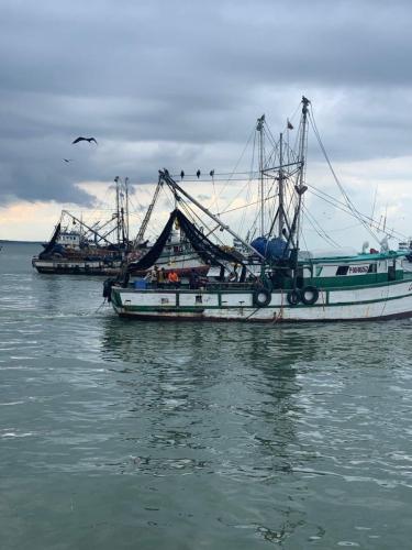 Flota-Pesquera-Arrastre-Ecuador-26